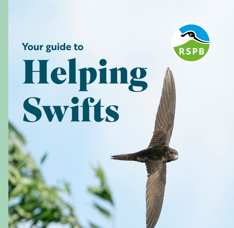 RSPB Swift Starter Pack