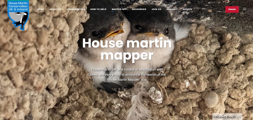 House Martin Mapper