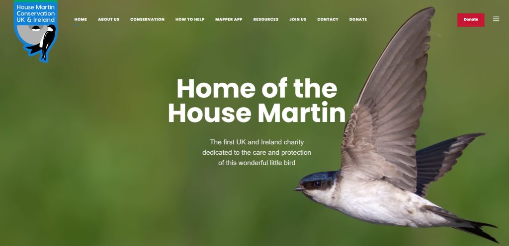 House Martin Conservation