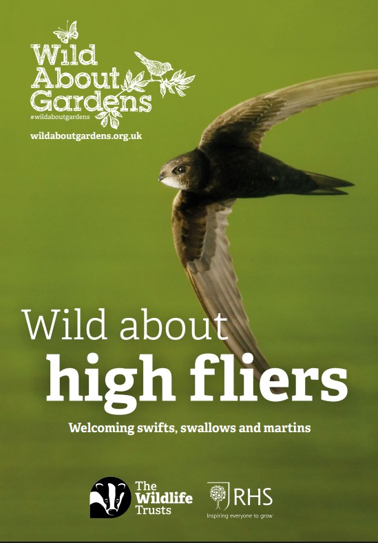 Leaflet on swifts, swallows and martins.