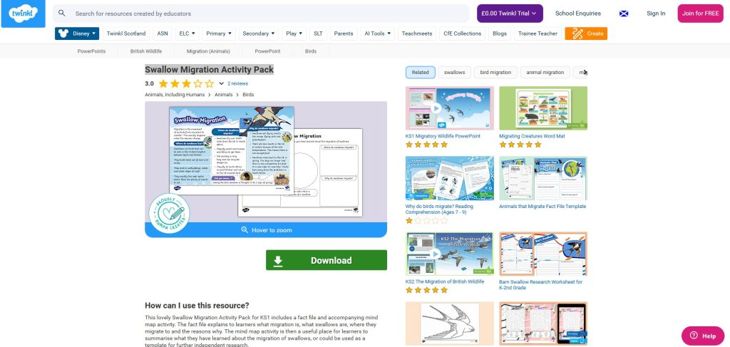 Swallow Migration Activity Pack