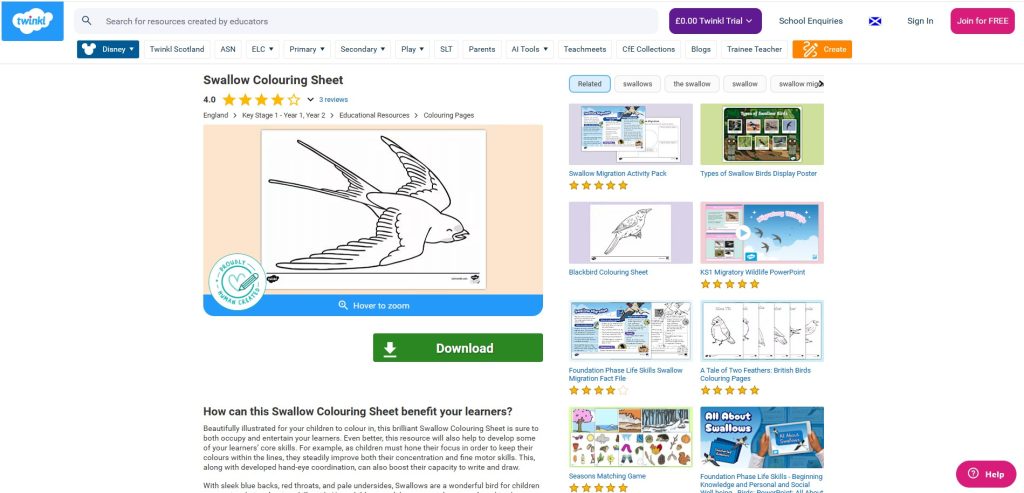 Swallow colouring sheet