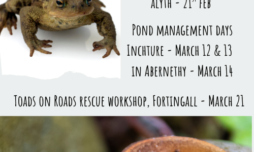 TayARG Feb March 26 TayARG Feb March 26