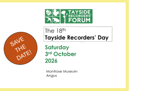 2026 Recorders Day Poster