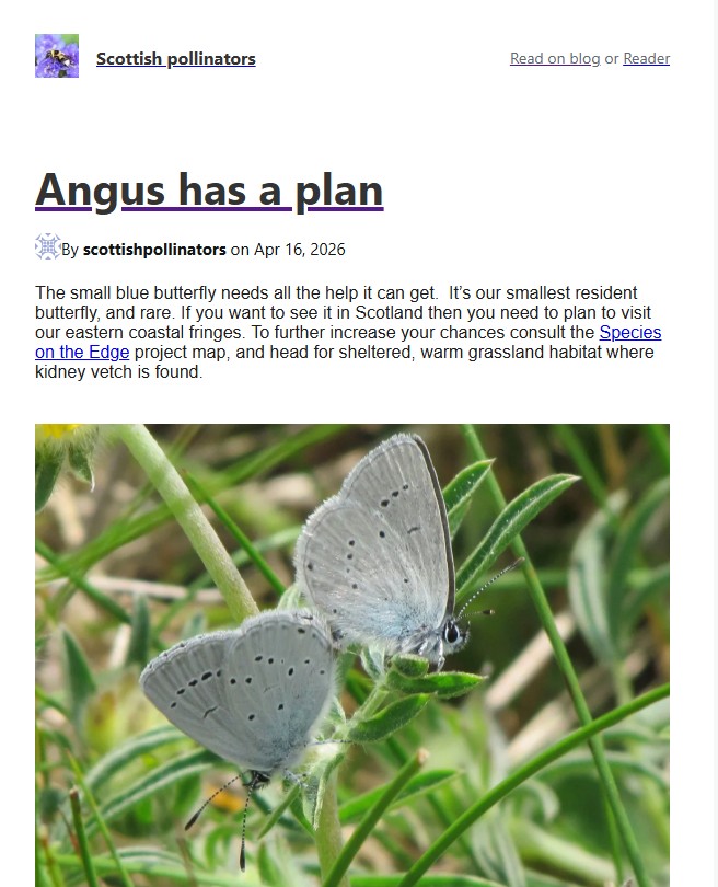 Scottish Pollinators - Angus has a plan