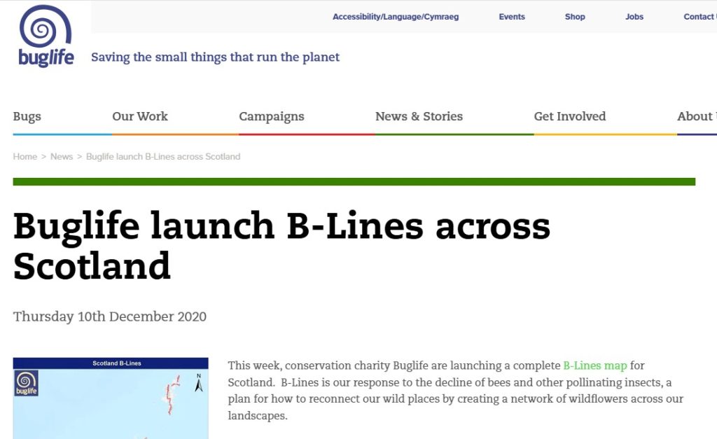 Buglife Launch B-Lines across Scotland