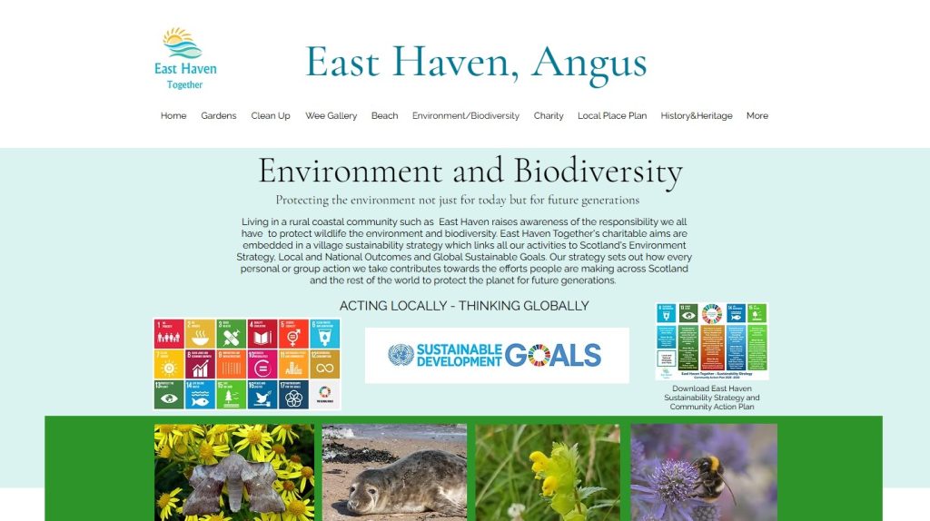 East Haven Projects