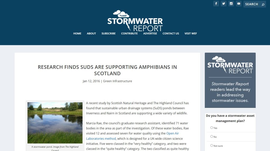 Research Finds Suds Are Supporting Amphibians In Scotland